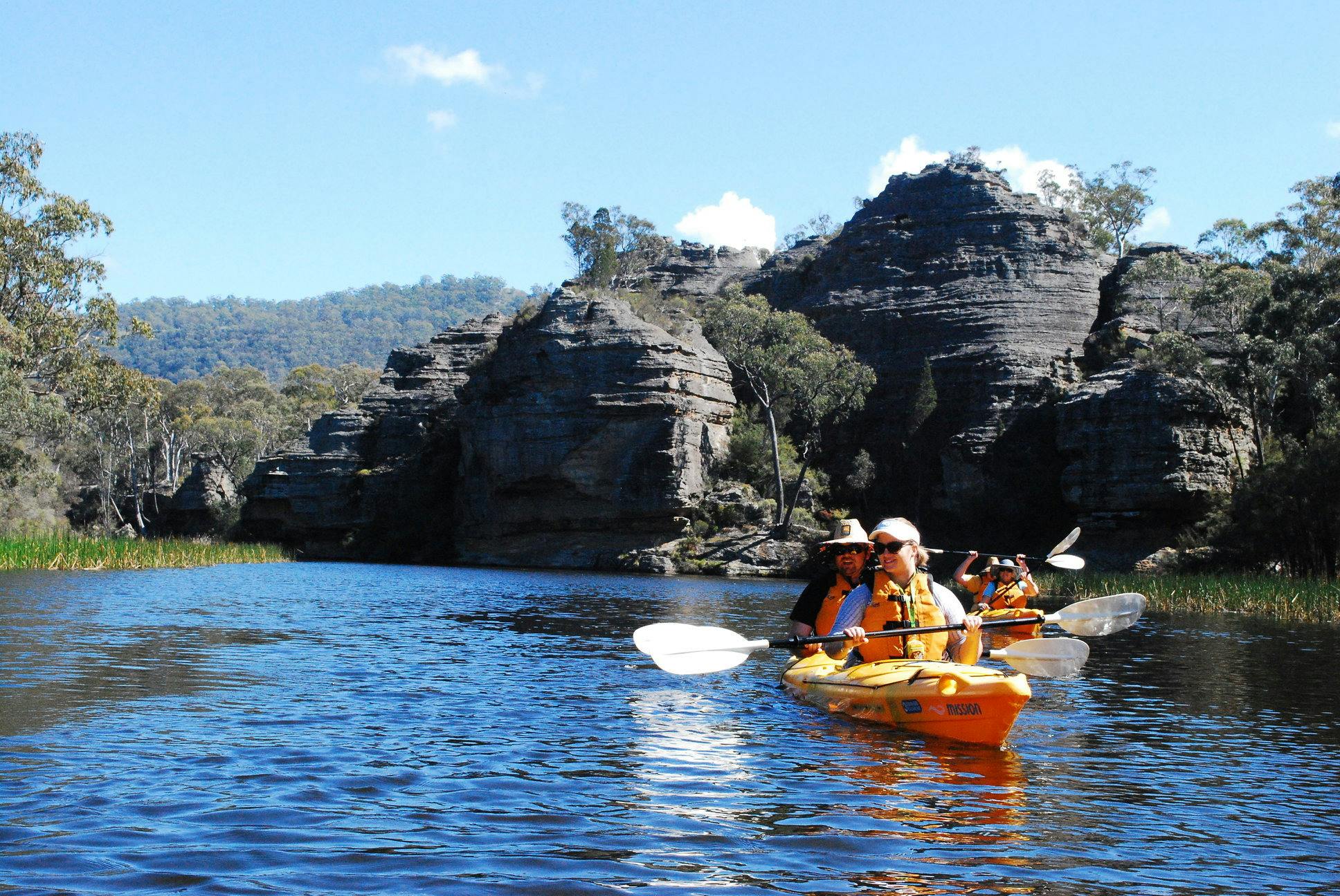 Ganguddy-Dunns Swamp kayak Tour