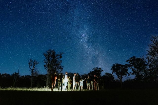 Scribbly Farm Tours and Immersive Experiences