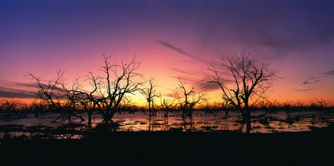 Menindee