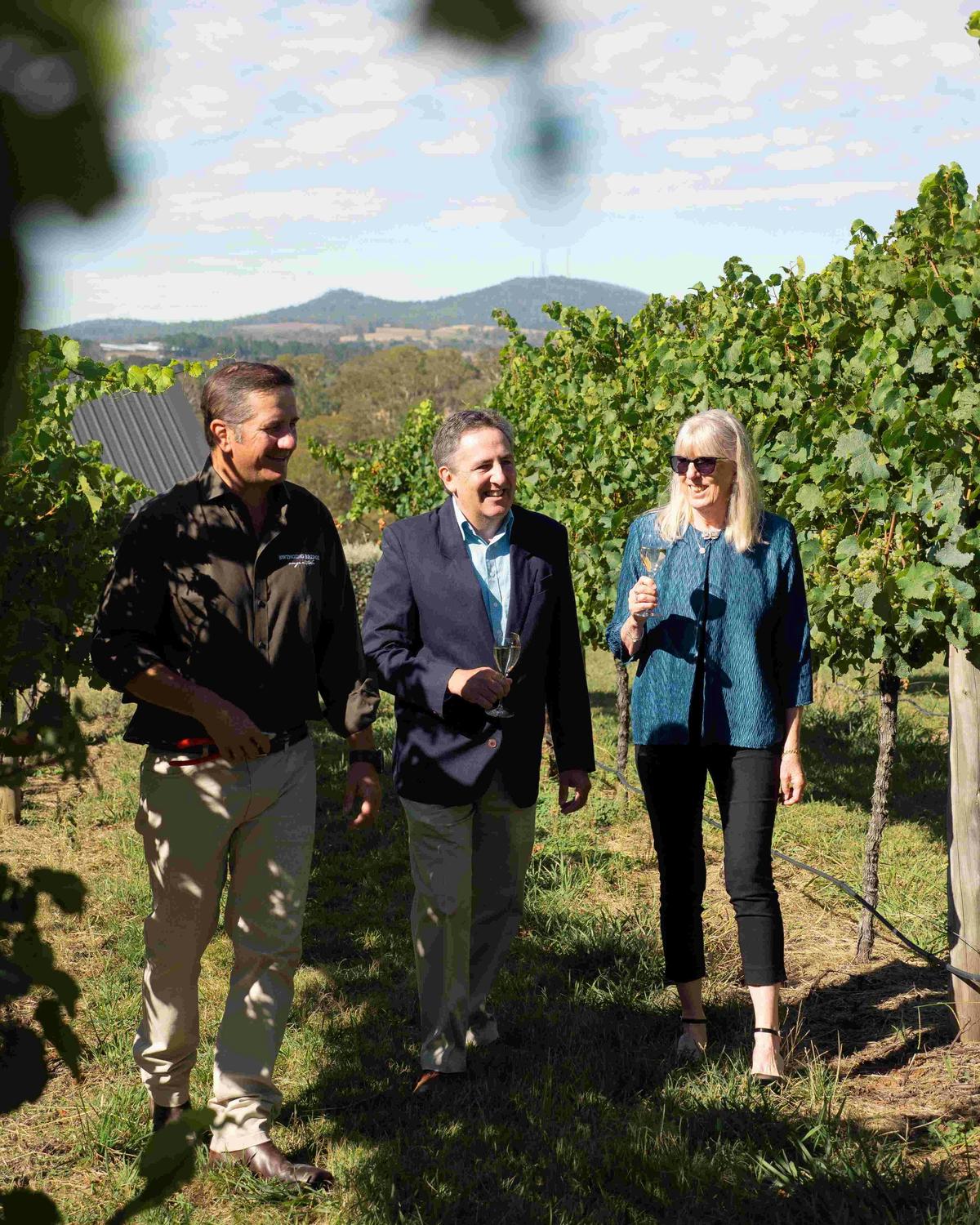 Swinging Bridge, Orange, Immerse, Ultimate Winery Experiences Australia