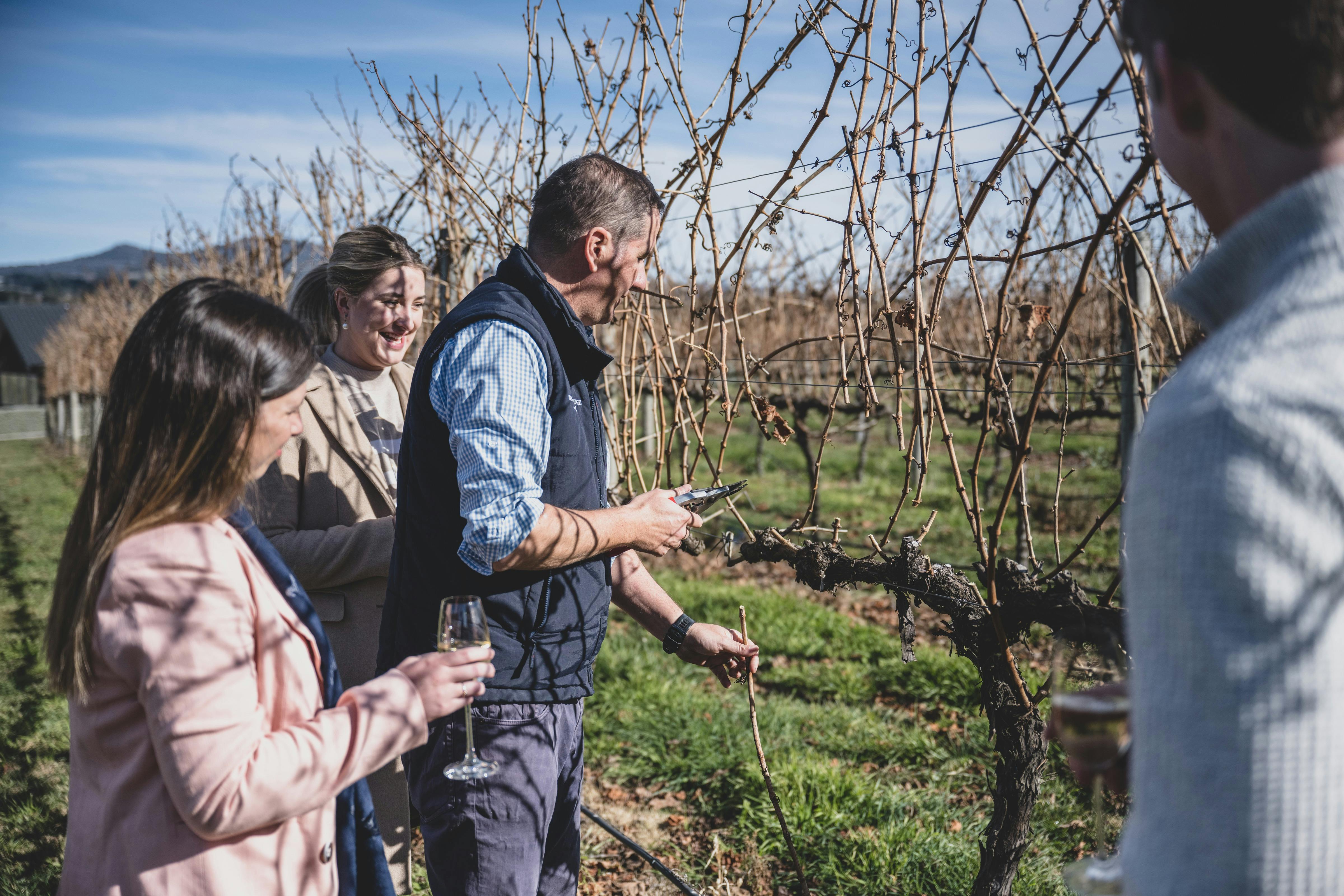 Swinging Bridge, Orange, Explore, Ultimate Winery Experiences Australia