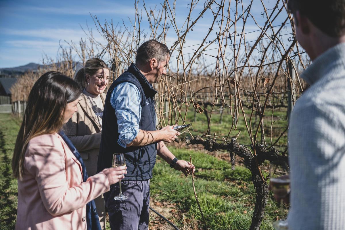 Swinging Bridge, Orange, Explore