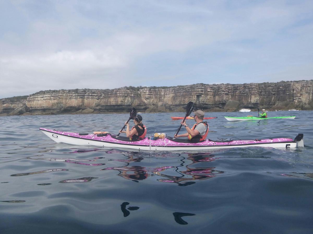 Guided Kayak Tours