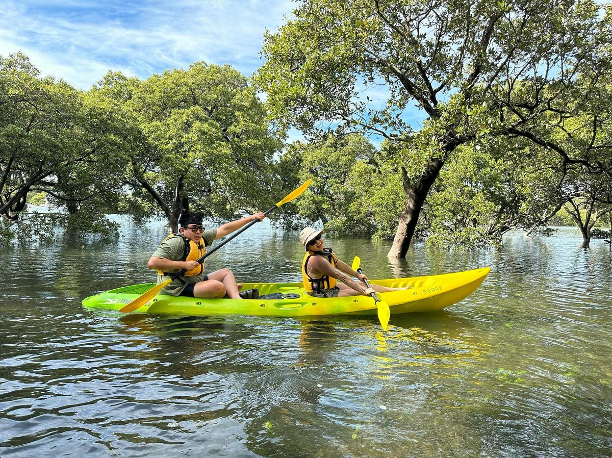 Mangrove kayaking Jervis Bay
