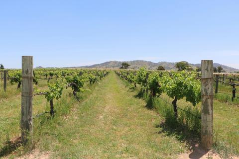 Shiraz Tours - Orange Wine Tours