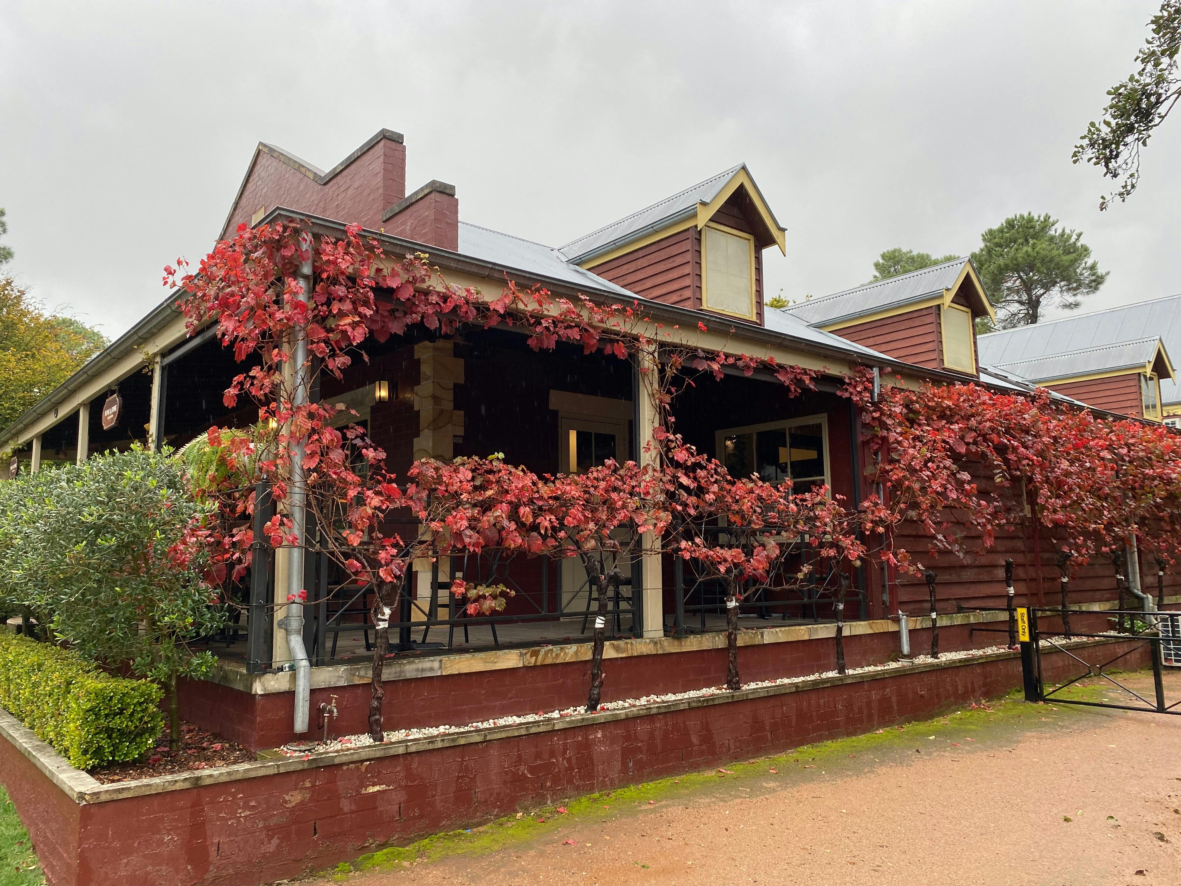 PepperGreen Estate Cellar Door -  Autumn Vino Rosso Tours