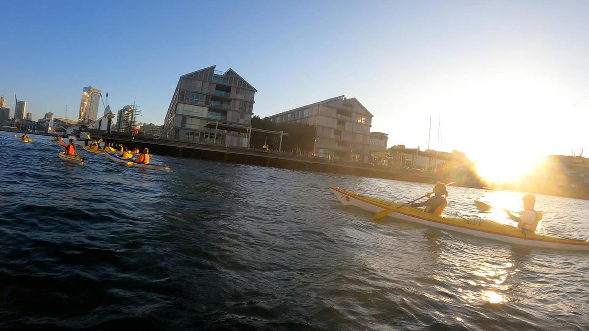 Sydney Harbour Kayaks