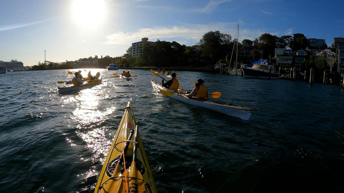 Sydney Harbour Kayaks
