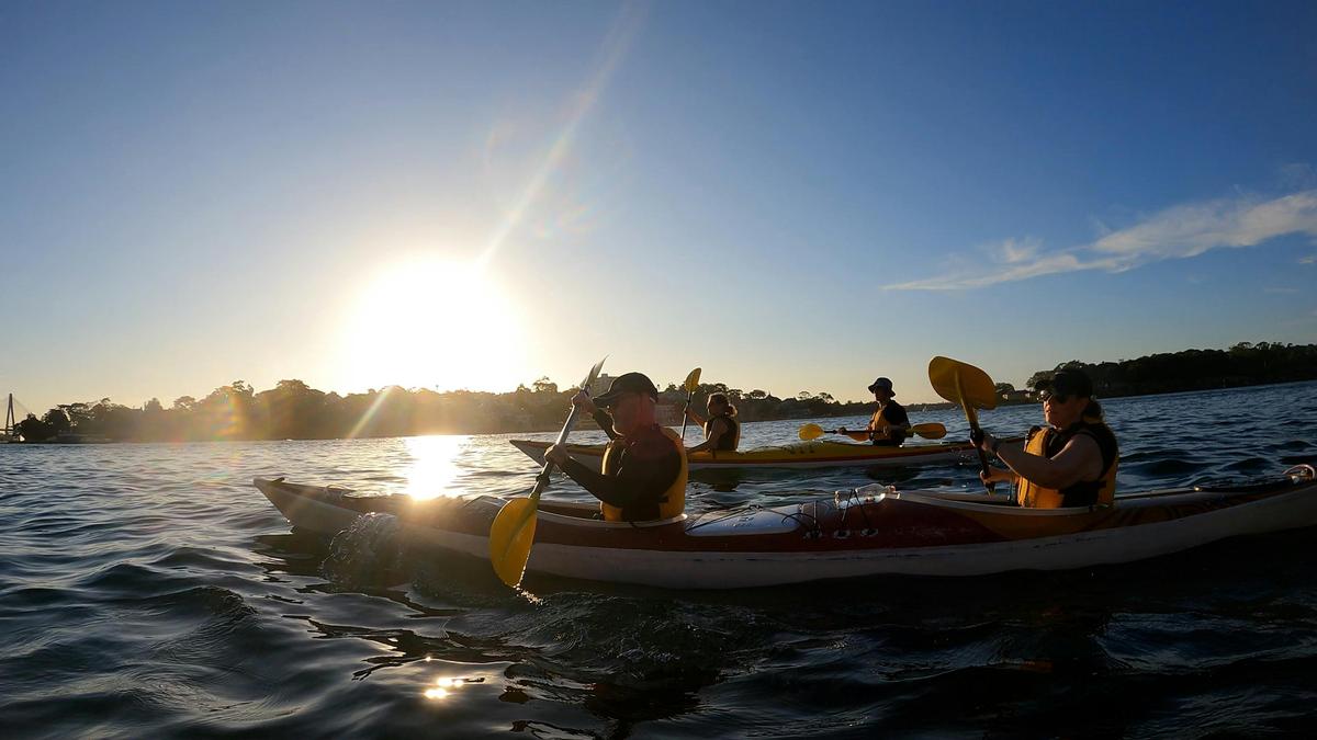 Sydney Harbour Kayaks
