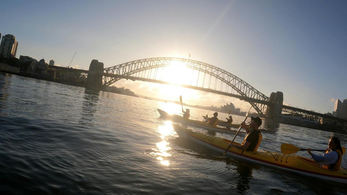Sydney Harbour Kayaks - Darling Harbour