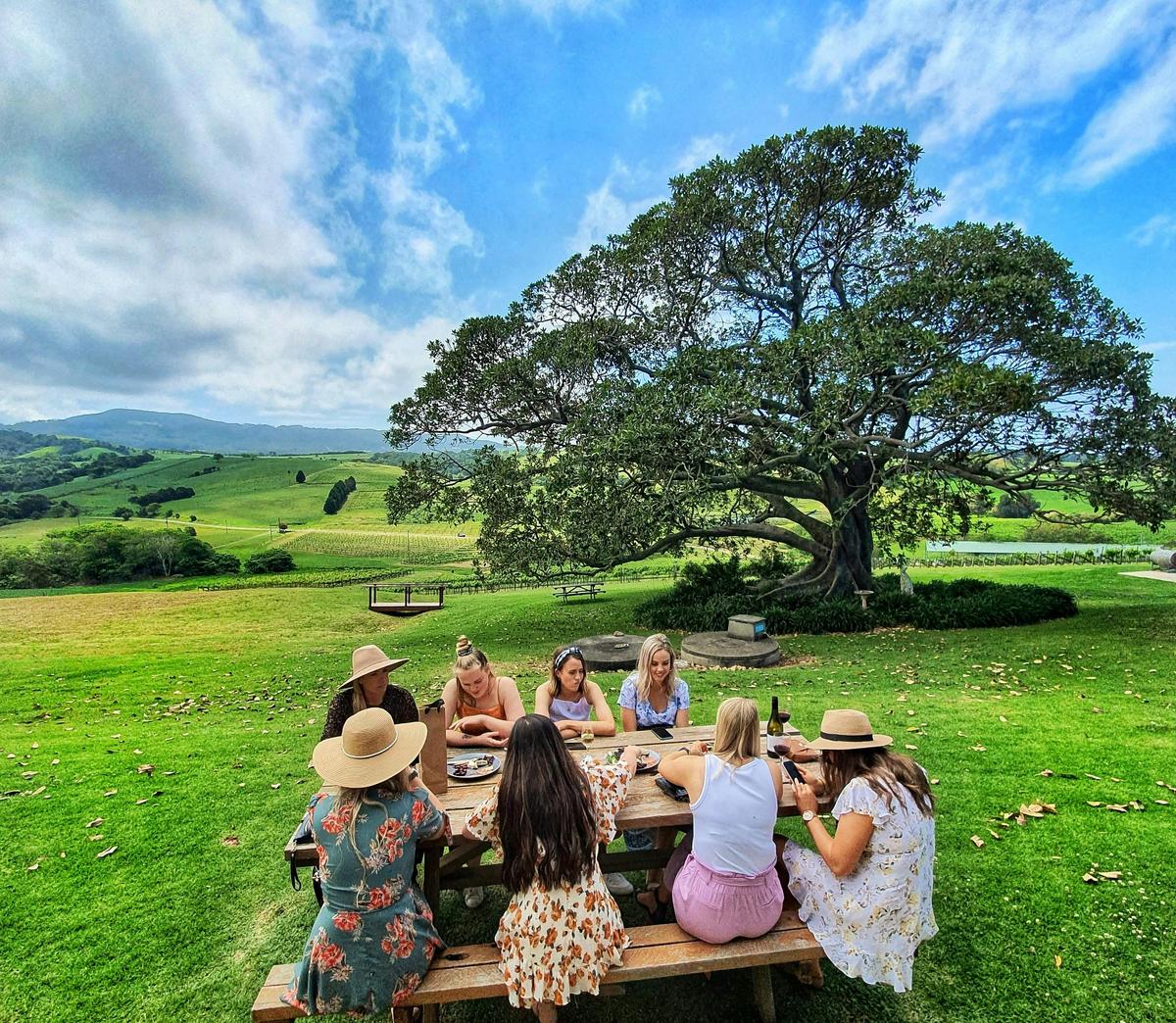 wine tastings willow tree