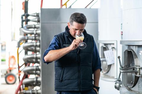 Immerse with Swinging Bridge