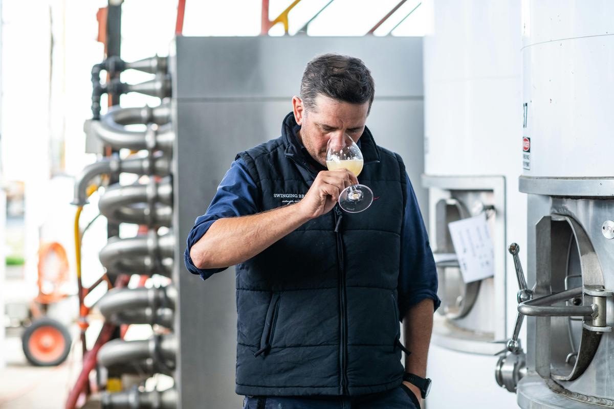 Immerse with Swinging Bridge