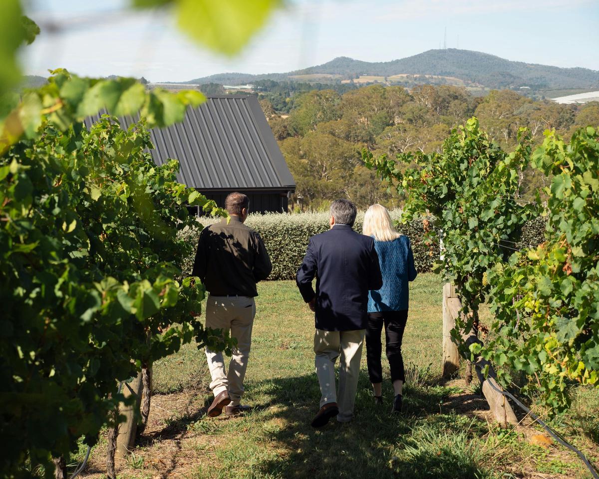 Explore with Swinging Bridge