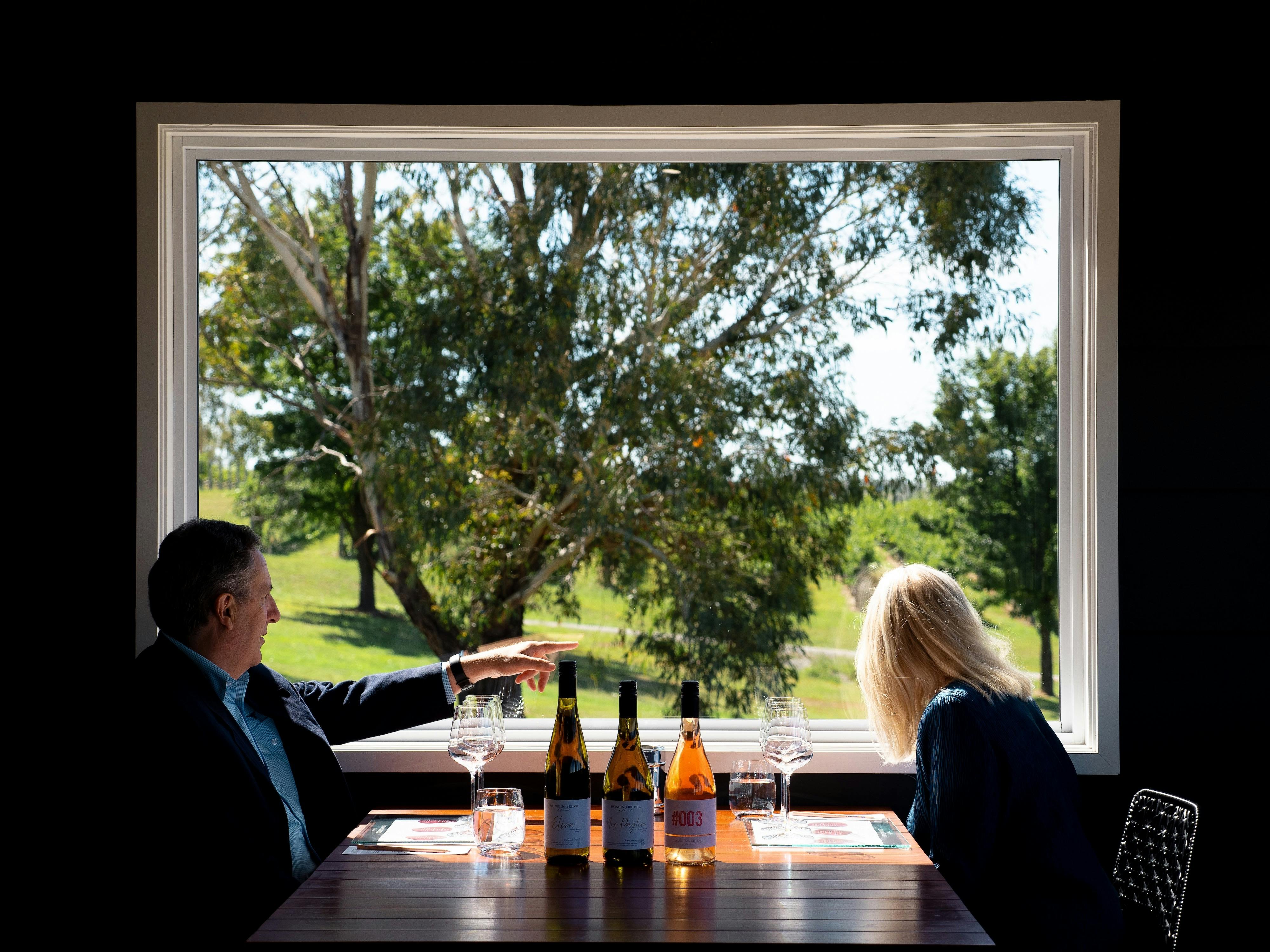 Tasting with Swinging Bridge Experience