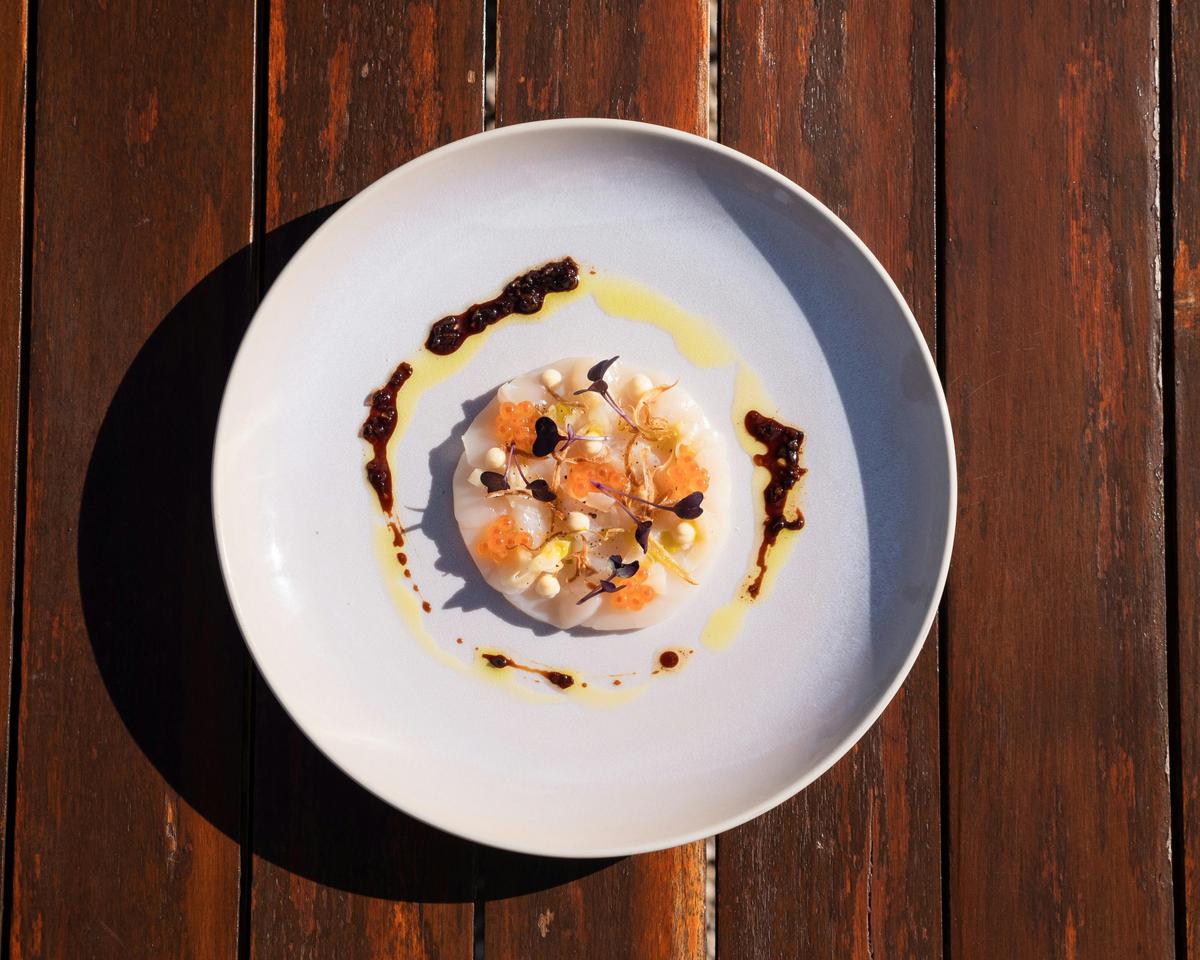 Immerse with Swinging Bridge