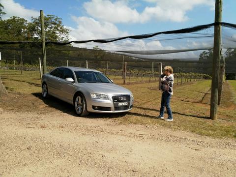 Secret Vines Experience