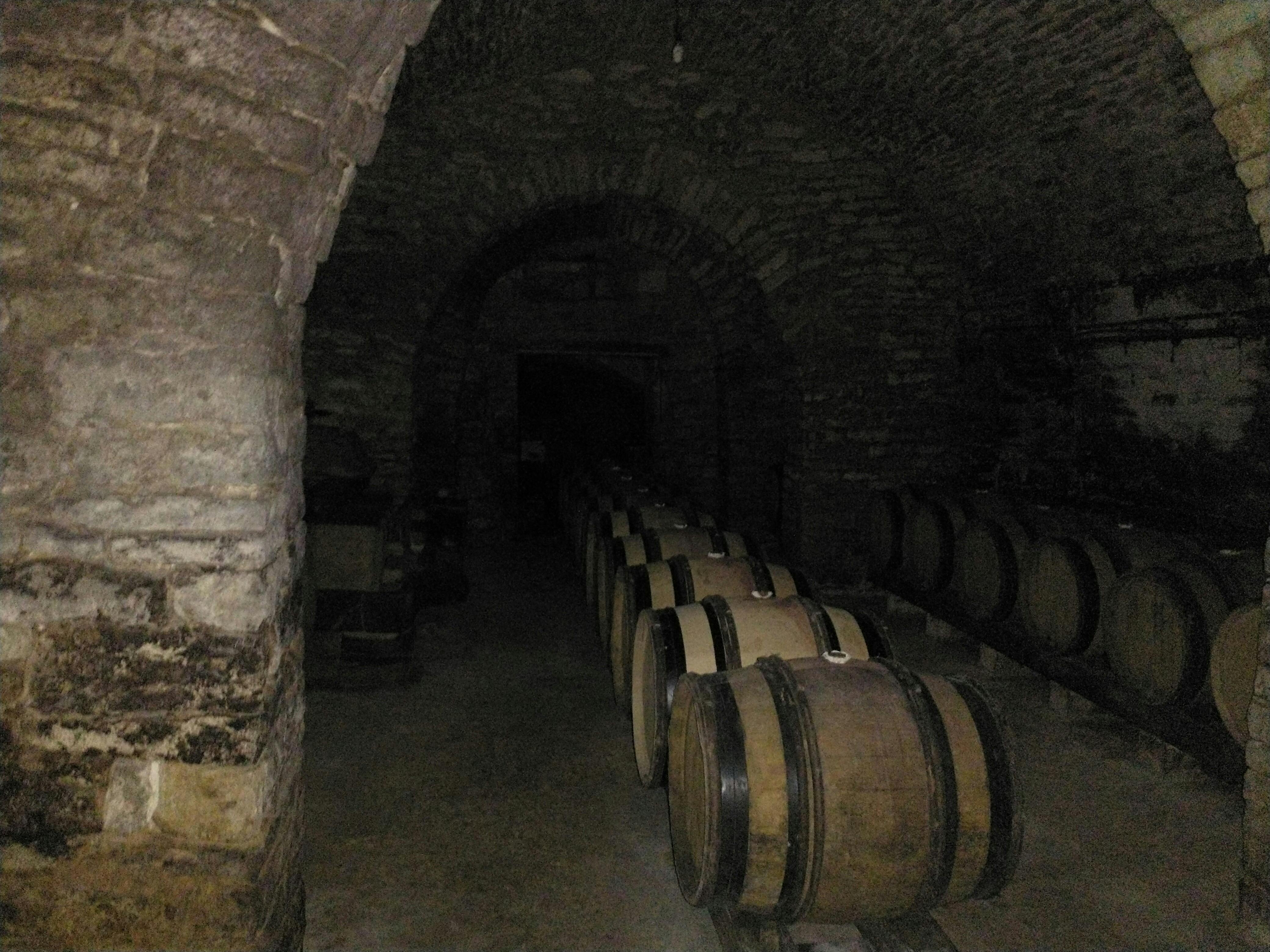 2022 Group tour to France