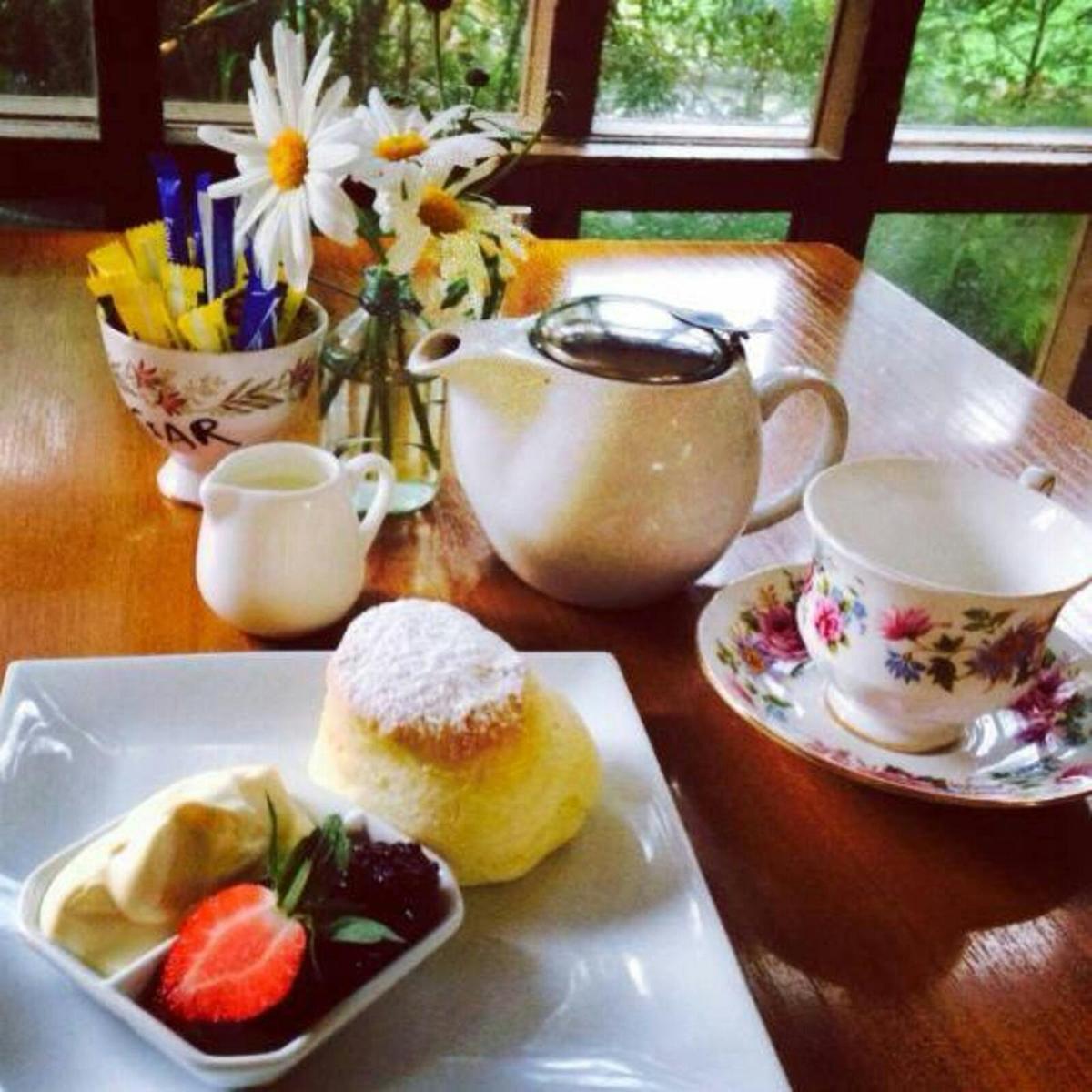 scones tea while on tour