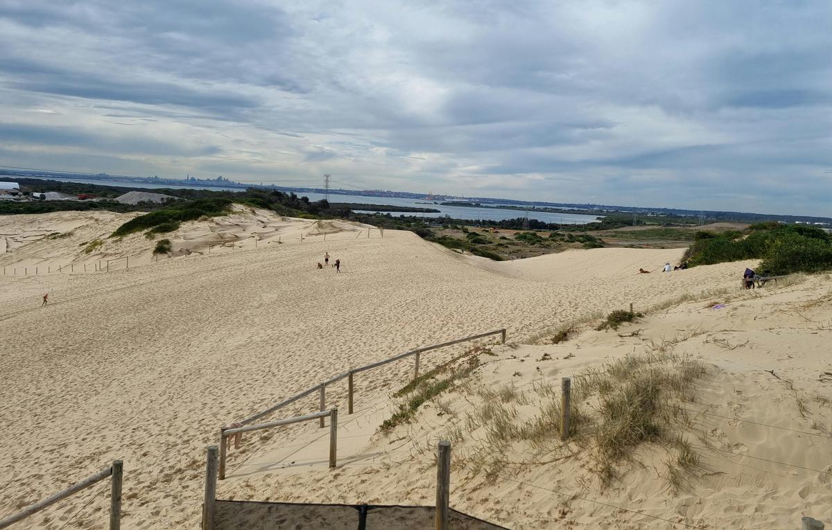 sand dunes