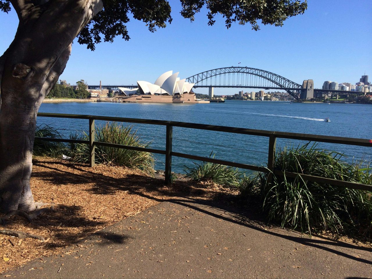 Ultimately Sydney