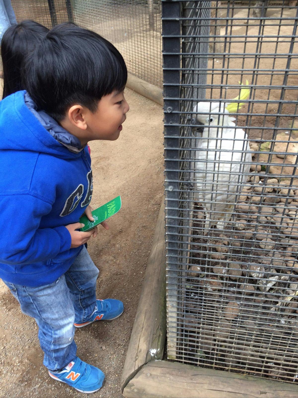 Featherdale Wildlife Park