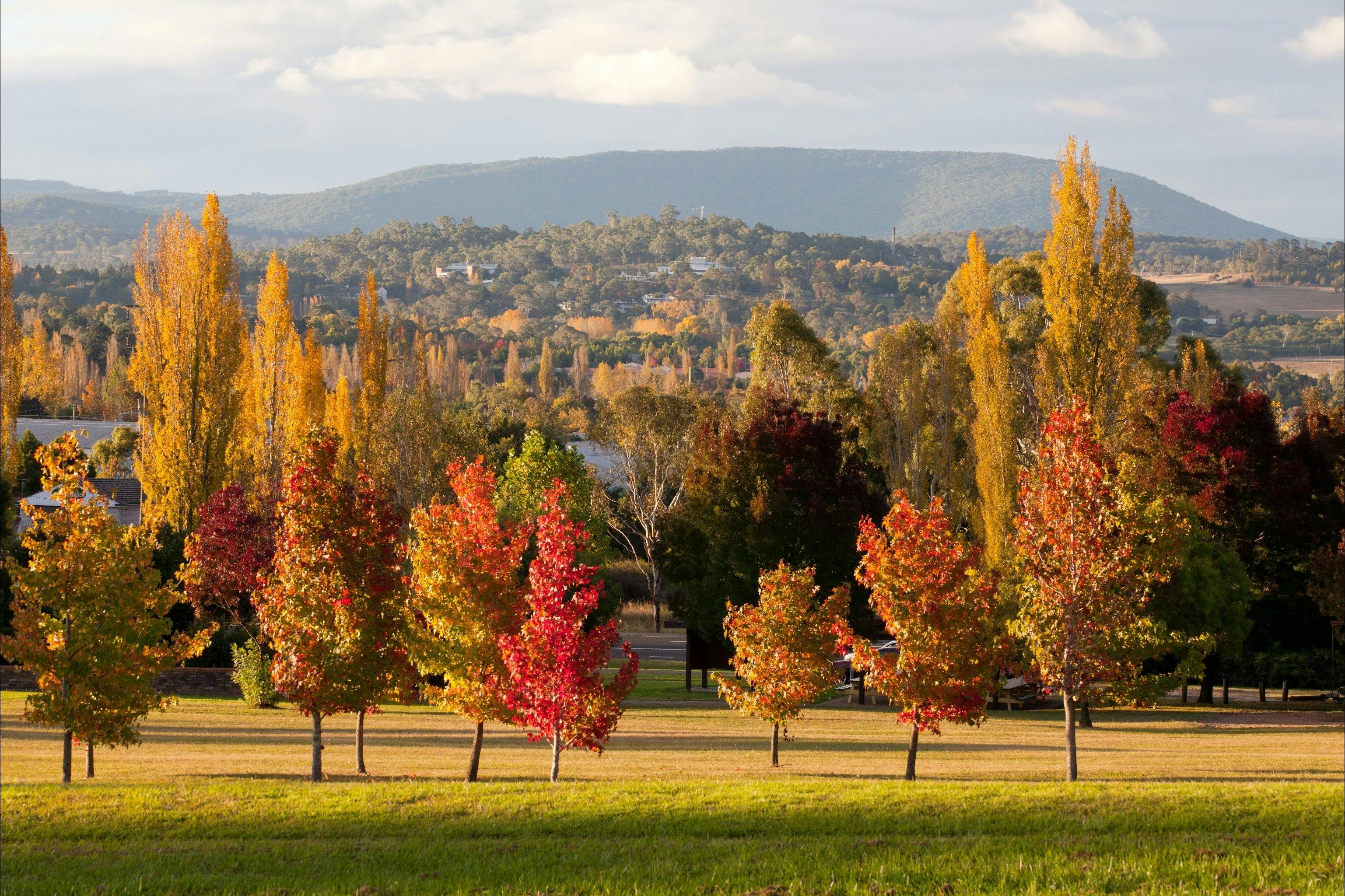 Armidale in Autumn