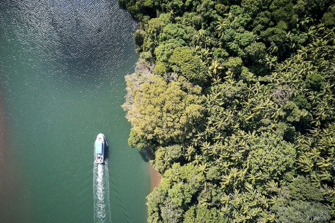 Rainforest Island