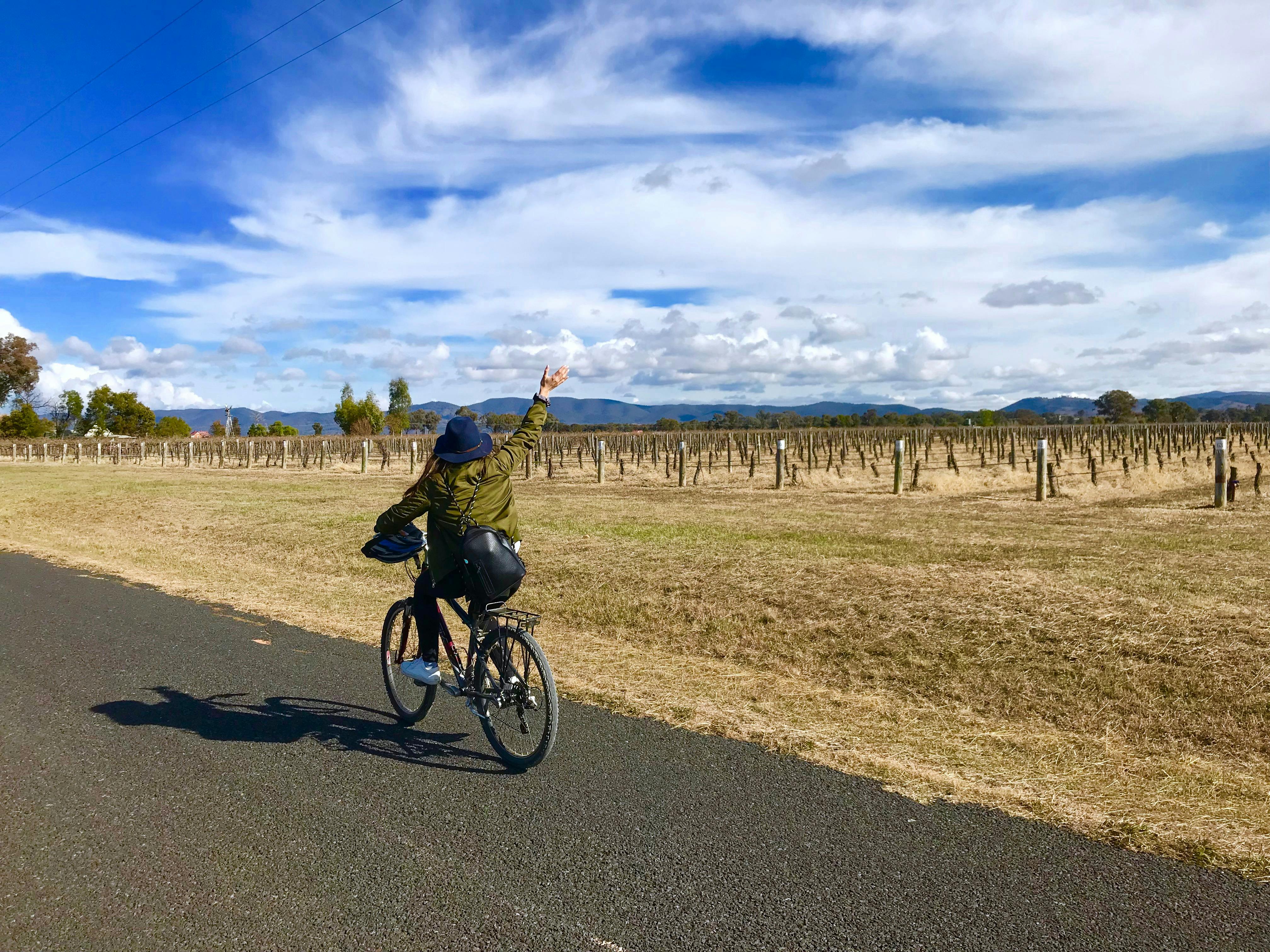 Cycling through the vineyards of Mudgee