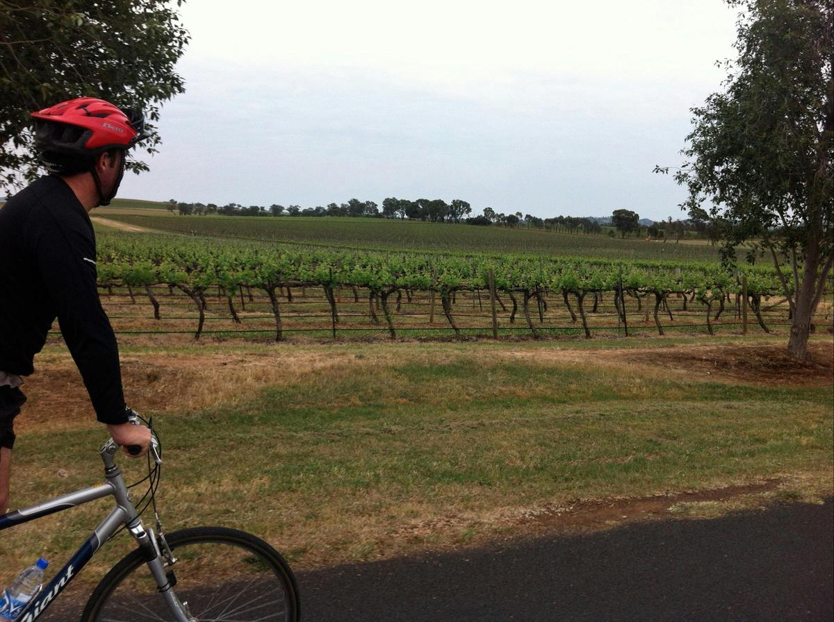 On a cycling tour in Mudgee, New South Wales