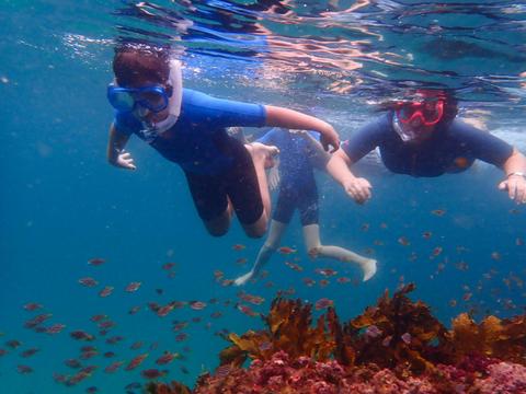 Three kids snorkel over a reef and school of fish, fully suited up for their ocean adventure