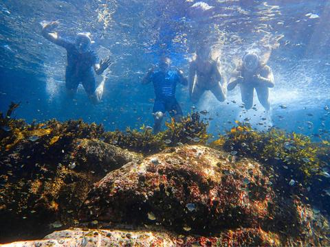 Four friends capture a fun underwater moment as they snorkel above a lively reef teeming with fish