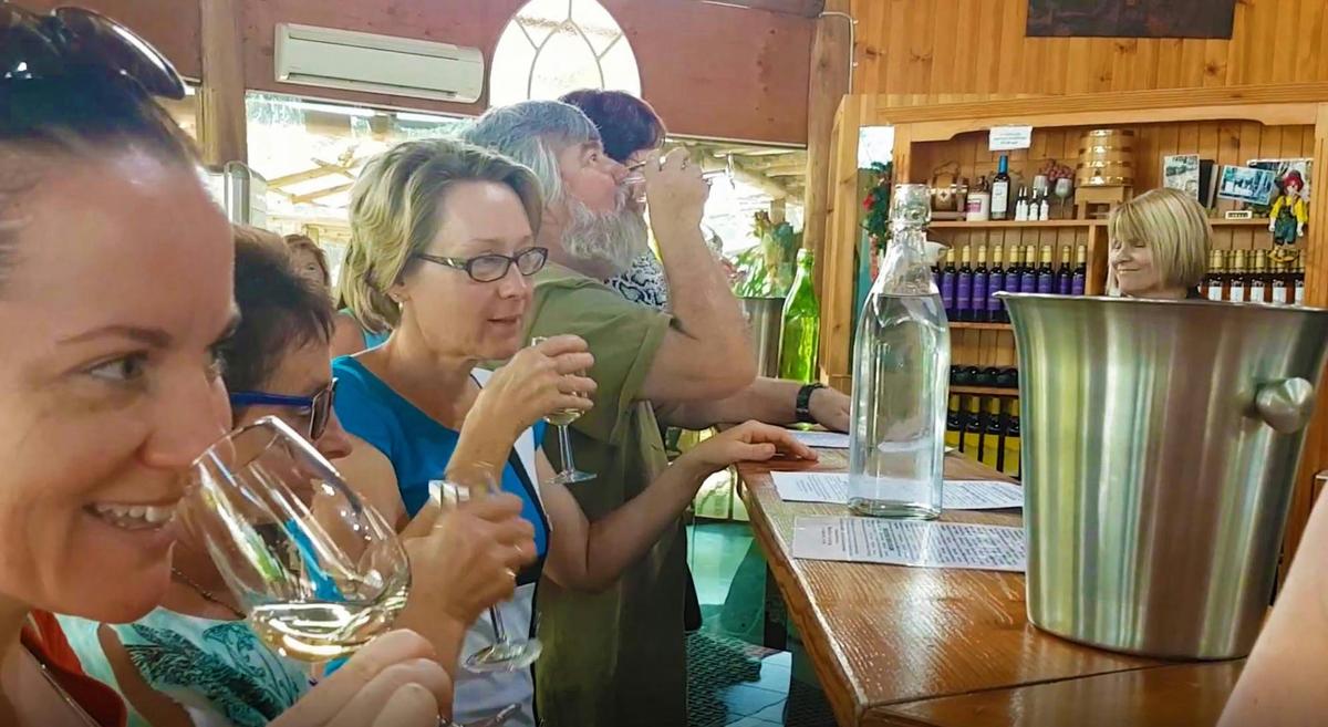 Tastes Of The Hunter Wine Tours - Tasting White Wines at Sobel's Wines