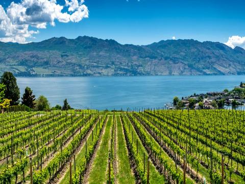 Food Wine and Spa tours