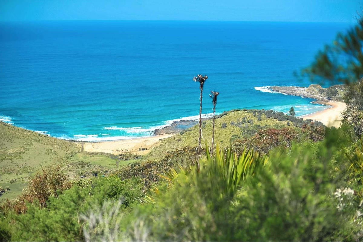 Secluded beaches everywhere in the Royal National Park