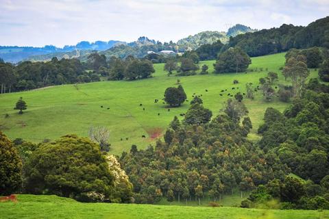 Discover the lush rolling hills of the Robertson in the Southern Highlands