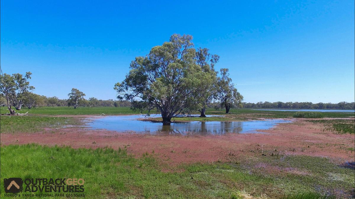 Piggery Lake - Yanga National Park