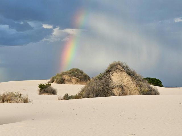 Mungo Rainbow