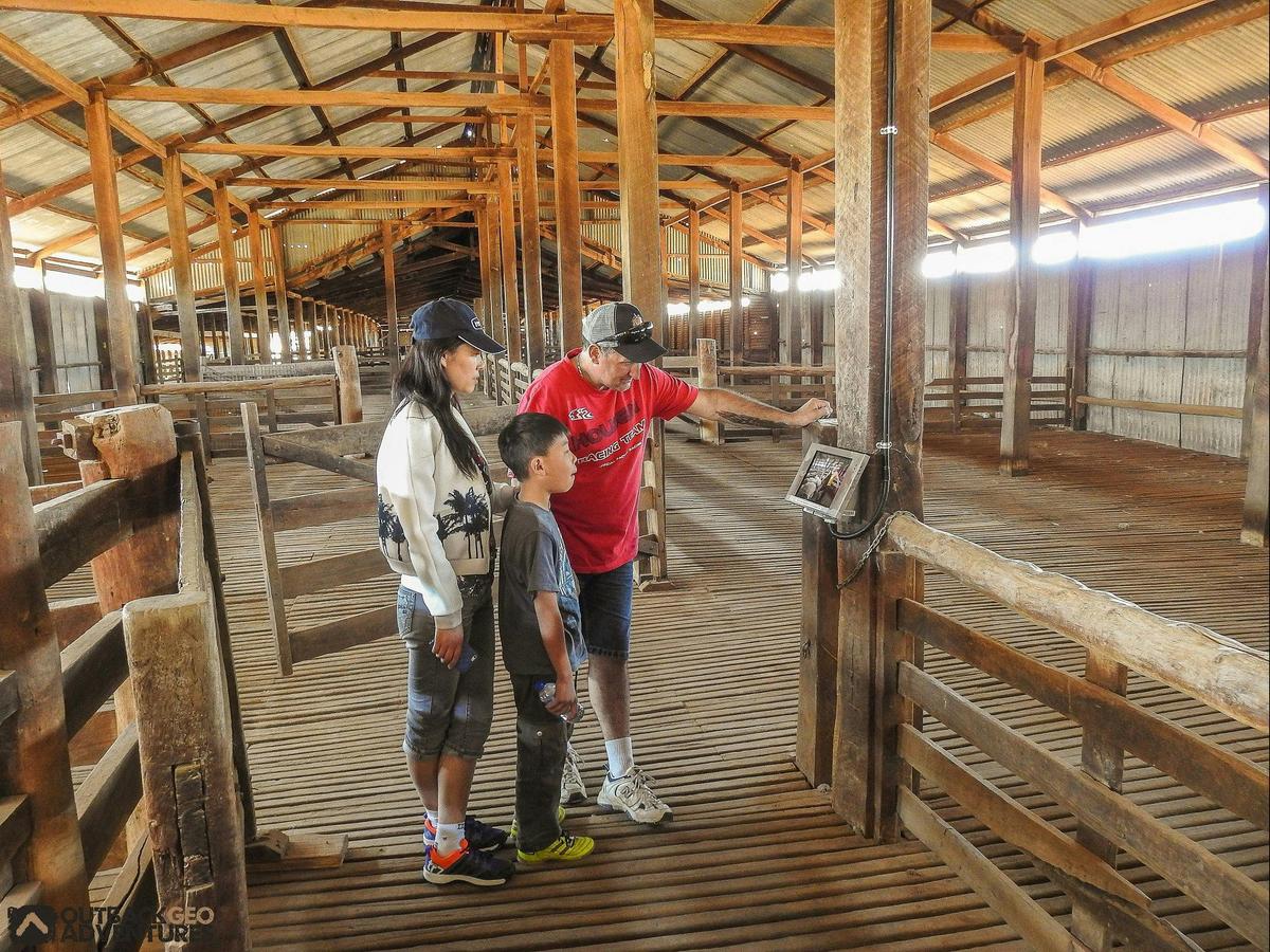 Yanga Historical Woolshed Guided Tour