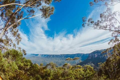 Blue Mountains