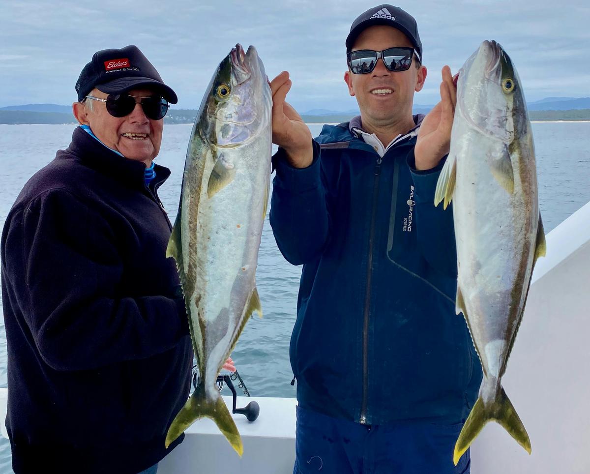 Kingfish off Merimbula