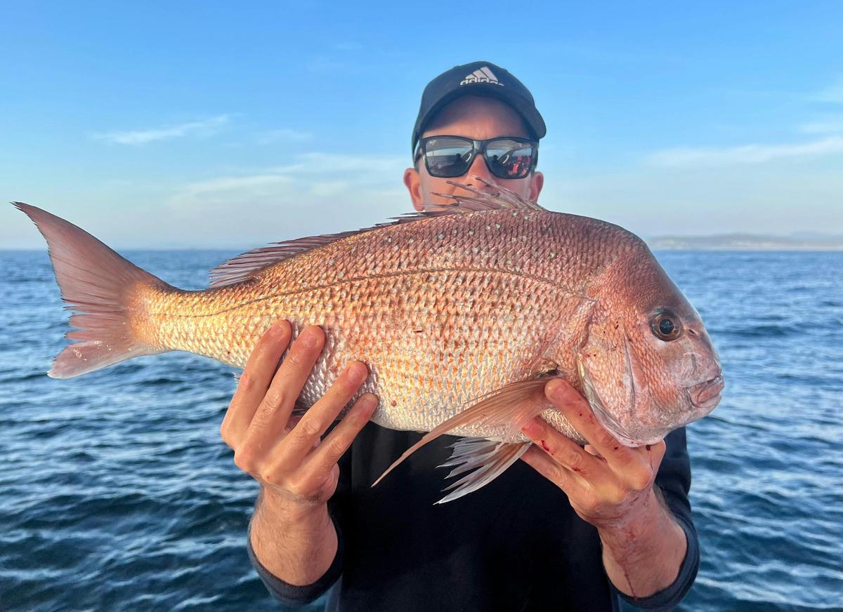 Snapper onboard Sensational II