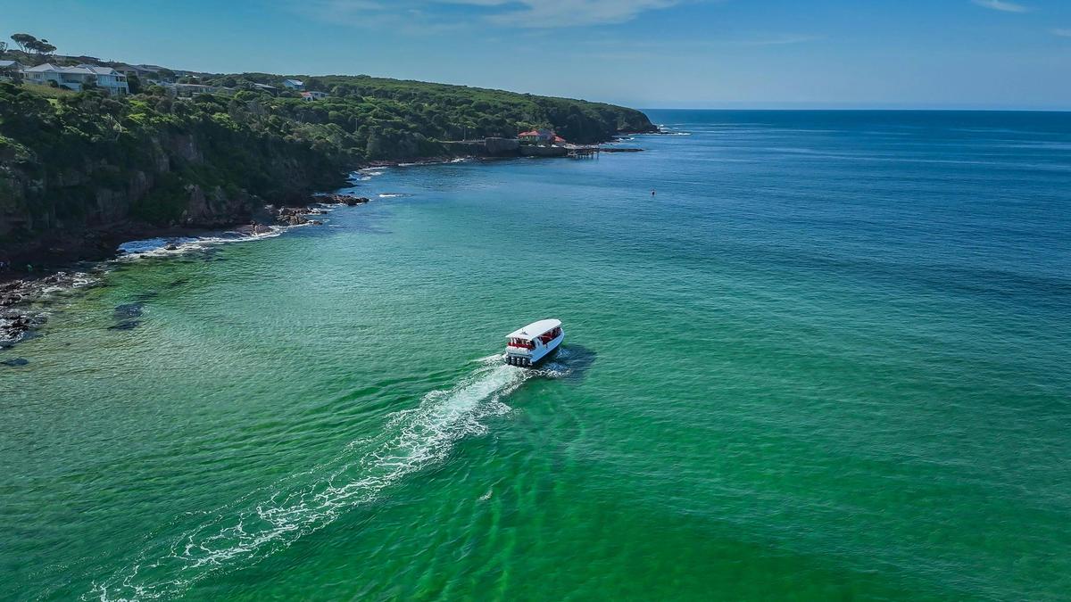 Ocean Wildlife Adventure - here we come!