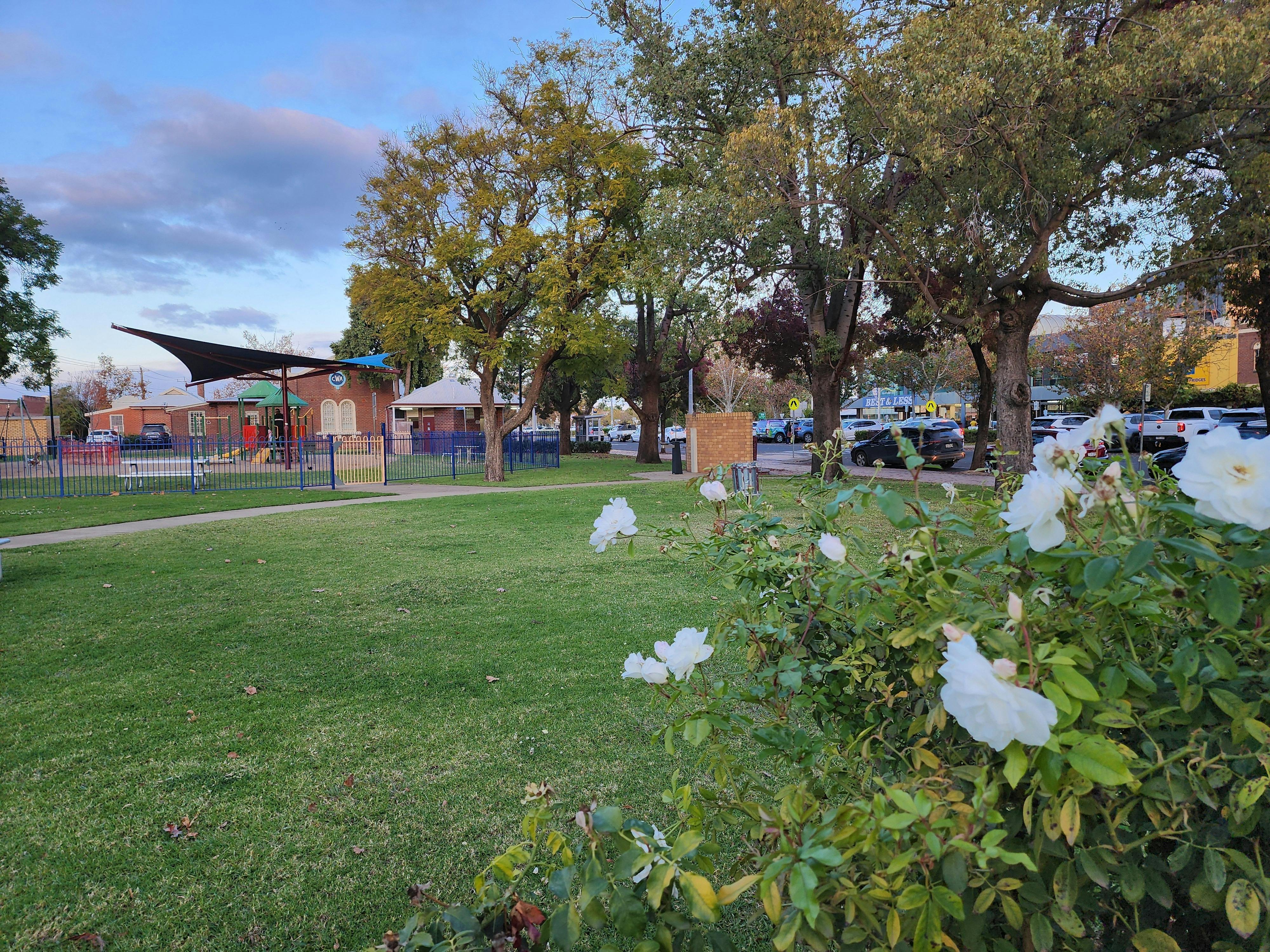CWA Park - Banna Ave Griffith