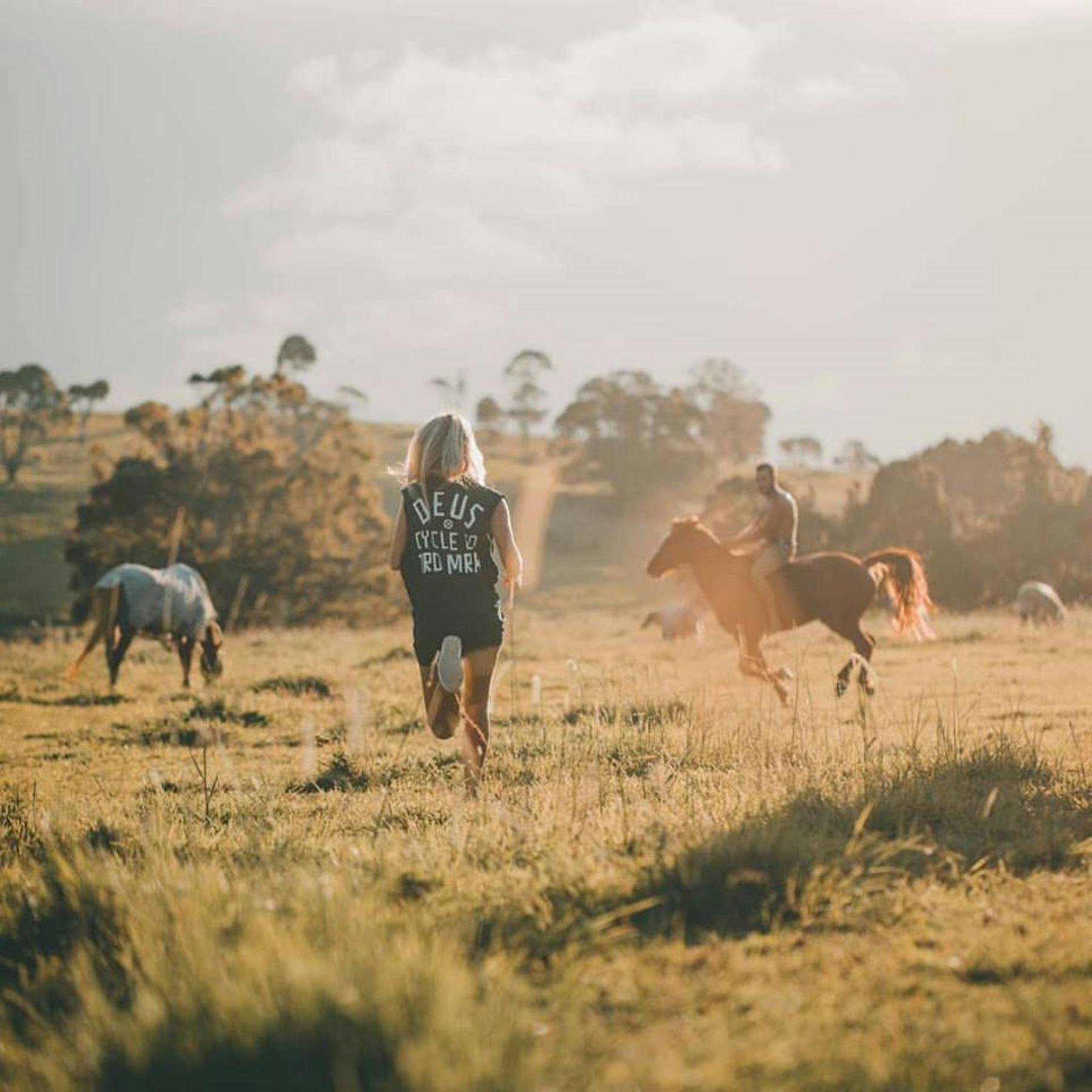 Pegasus Park Equestrian Centre