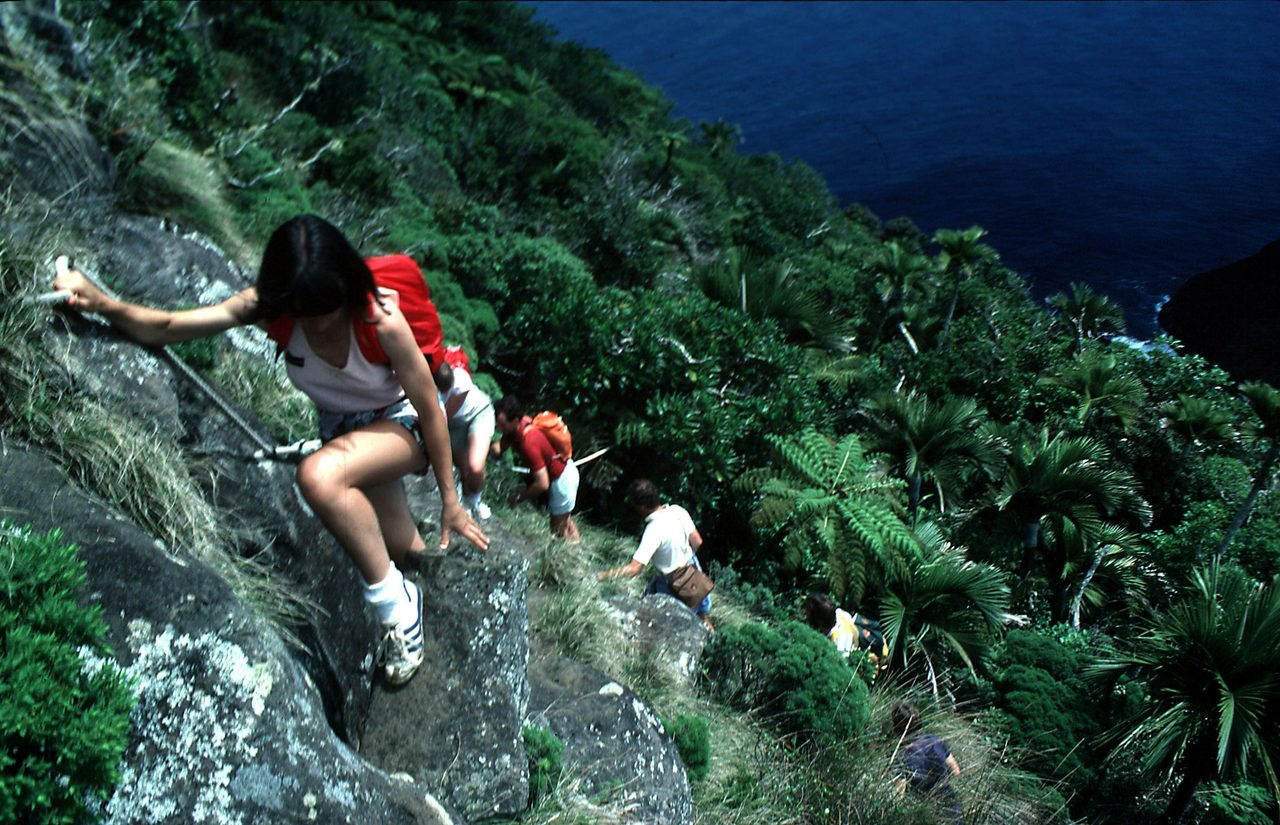 Mt Gower