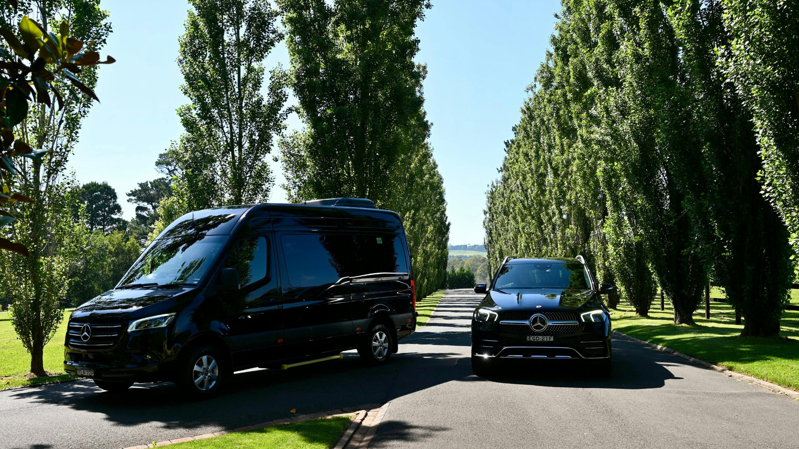 Sit back and enjoy a uniquely curated tasting tour