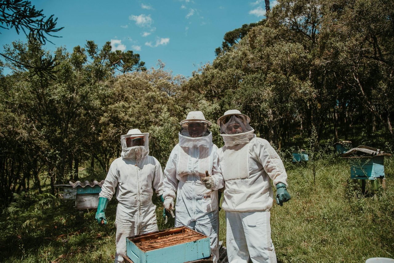 The Apiary Bay and Bush