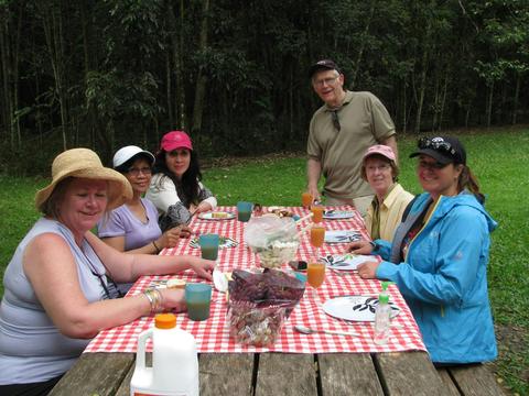 Picnic lunch 