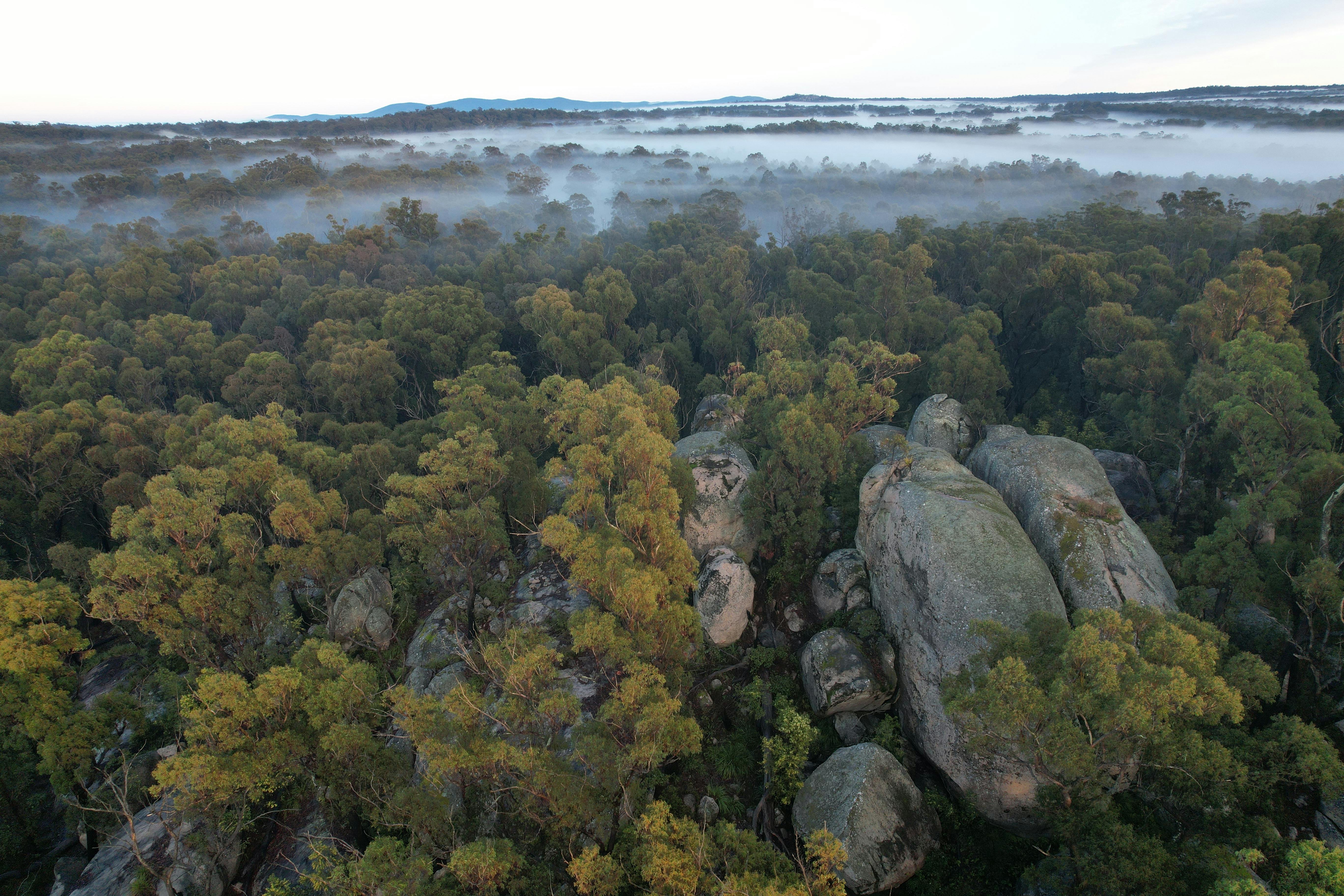 Quoll Headquarters - The Sanctuary